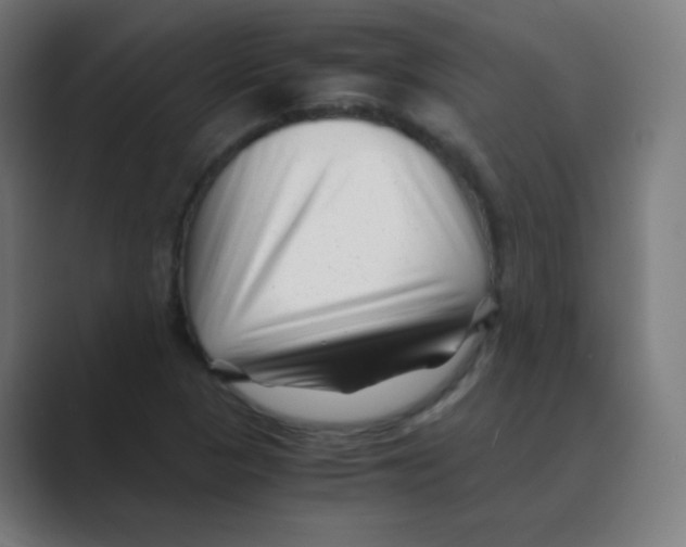 X0000088461313200706191322