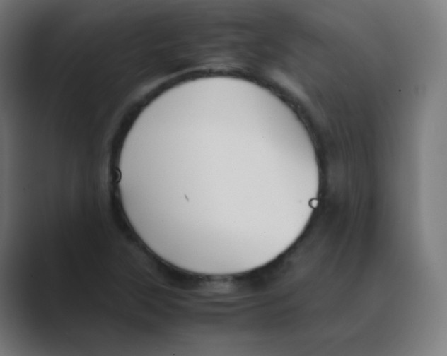 X0000088461315200706191322