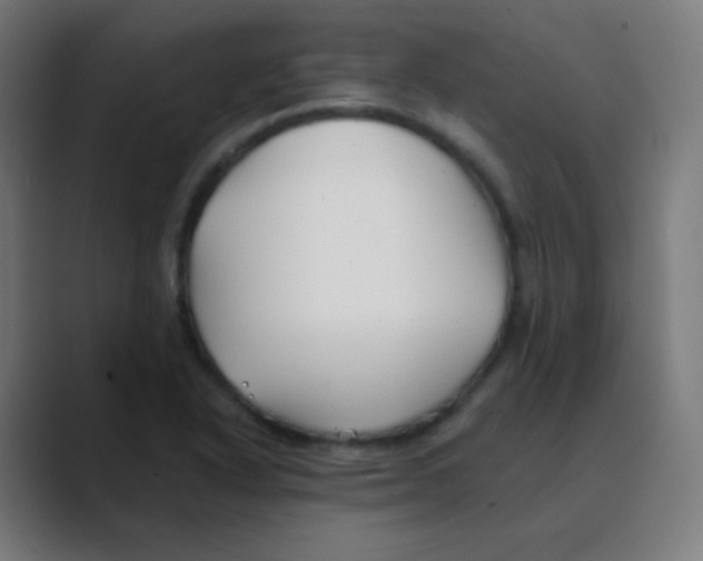 X0000088461318200706191322