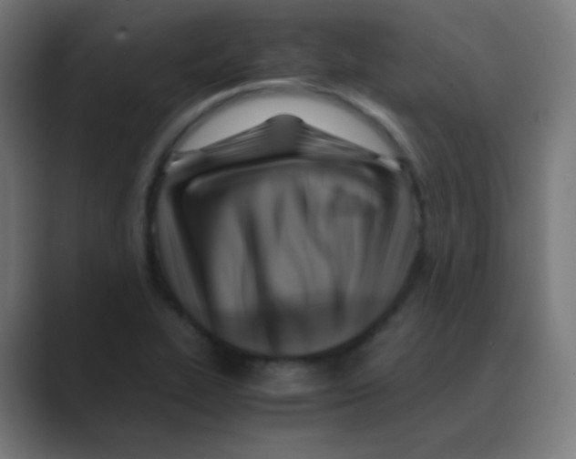 X0000088461319200706191322