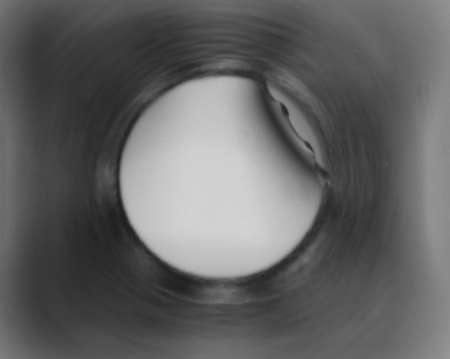 X0000088461321200706191322