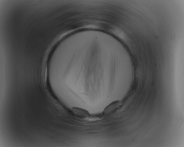 X0000088461323200706191322