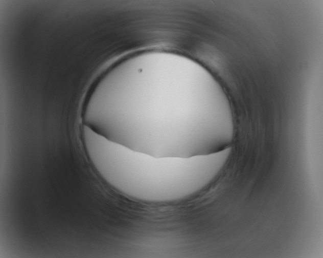 X0000088461324200706191322