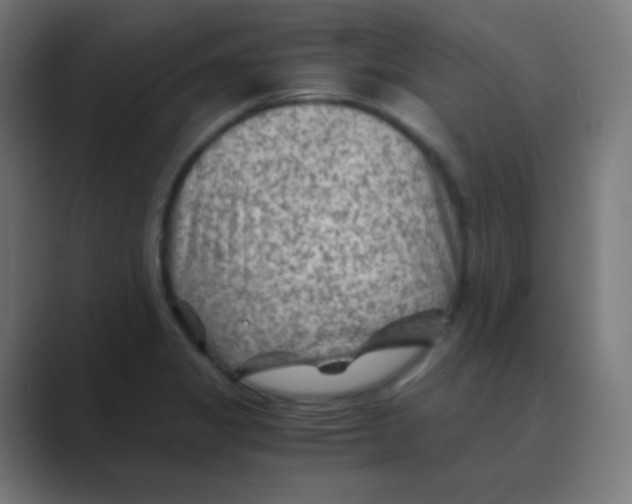 X0000088461325200706191322