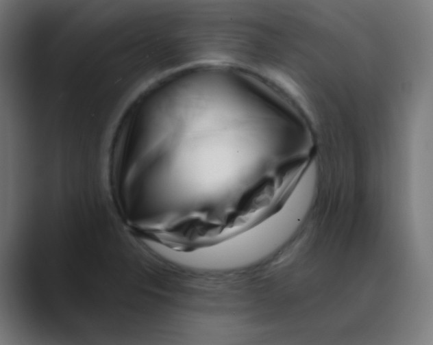 X0000088461326200706191322