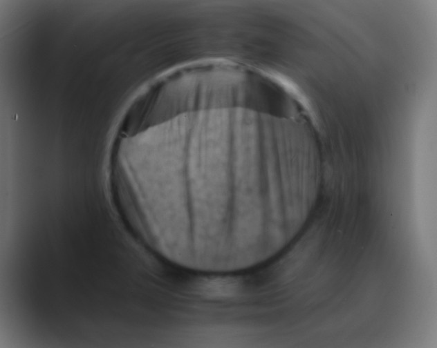 X0000088461327200706191322