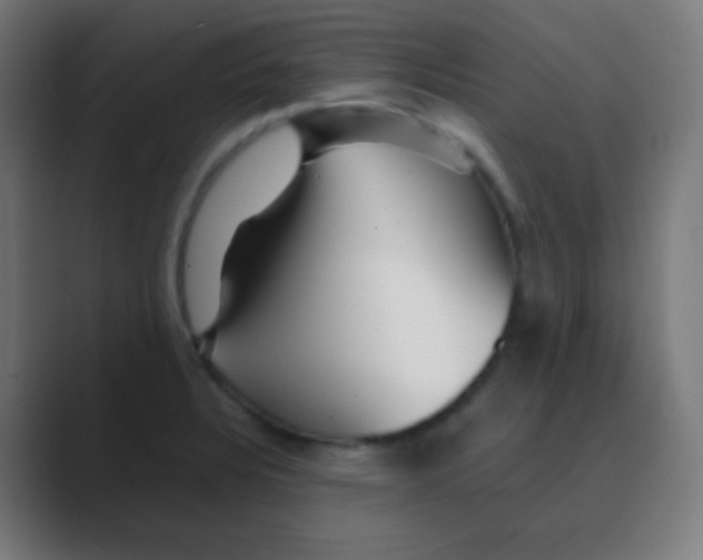 X0000088461328200706191322