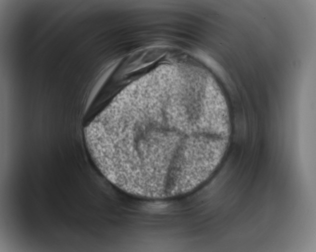 X0000088461329200706191322