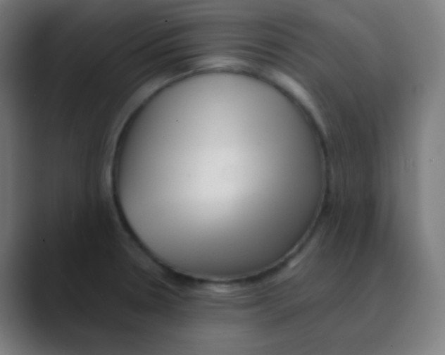 X0000088461330200706191322