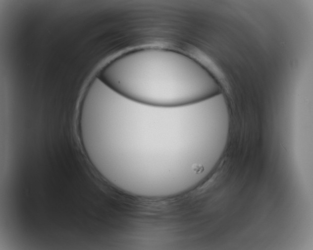 X0000088461332200706191322