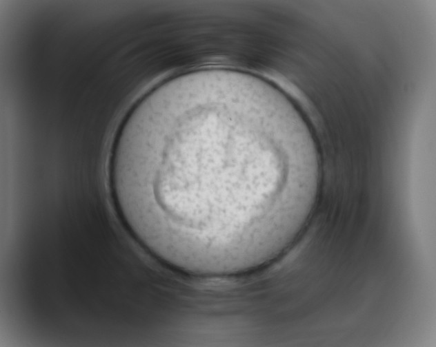 X0000088461333200706191322