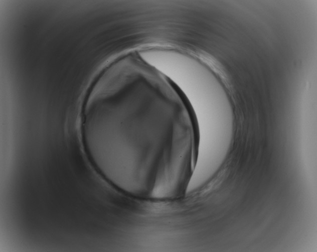 X0000088461334200706191322