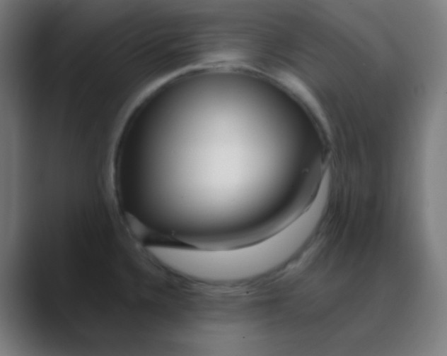 X0000088461336200706191322