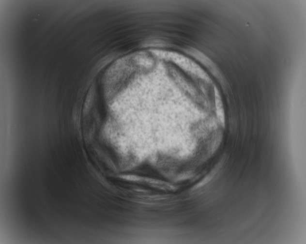 X0000088461337200706191322