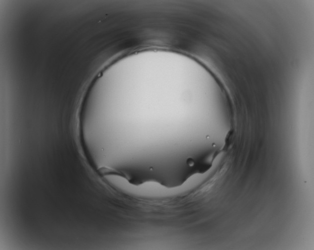 X0000088461341200706191322