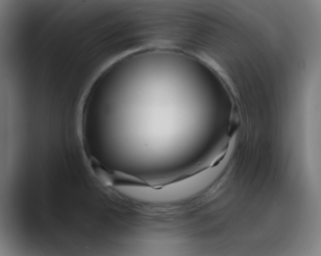 X0000088461342200706191322