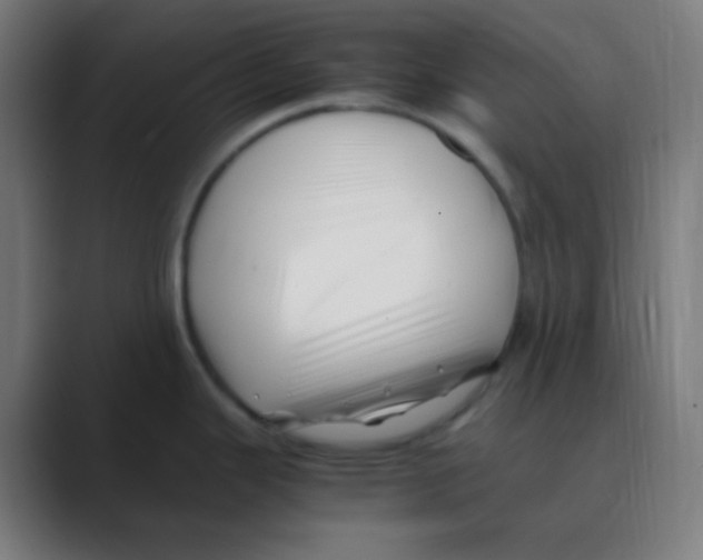 X0000088461343200706191322