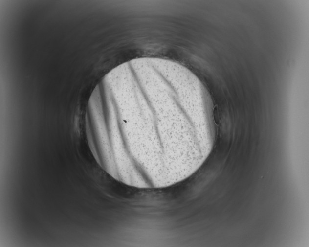 X0000088461346200706191322