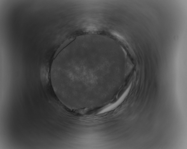 X0000088461348200706191322