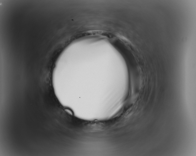 X0000088461351200706191322