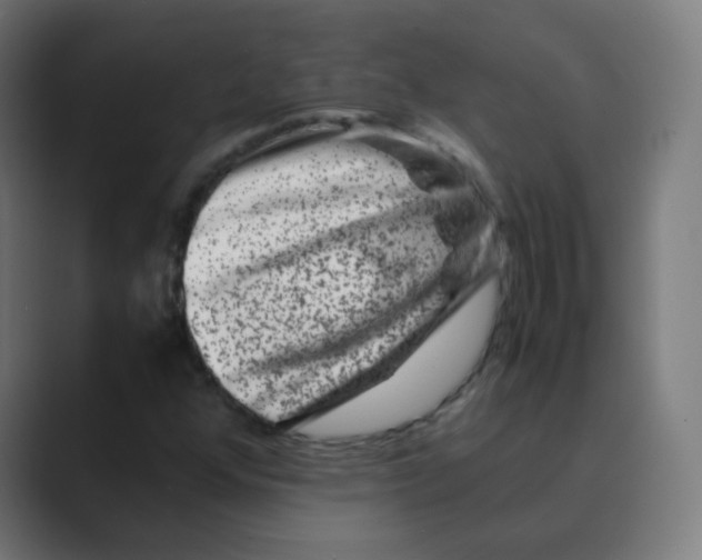 X0000088461352200706191322