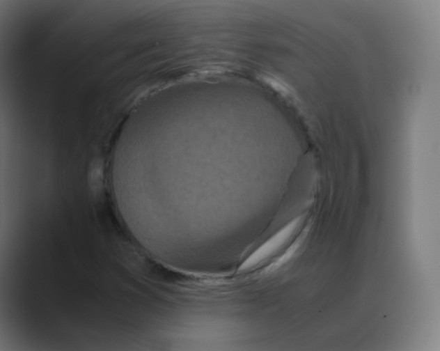 X0000088461353200706191322