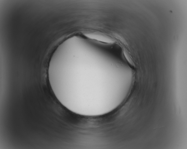 X0000088461355200706191322