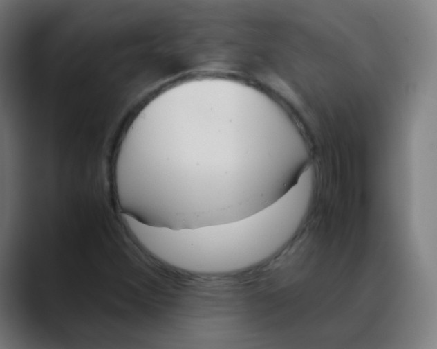 X0000088461356200706191321