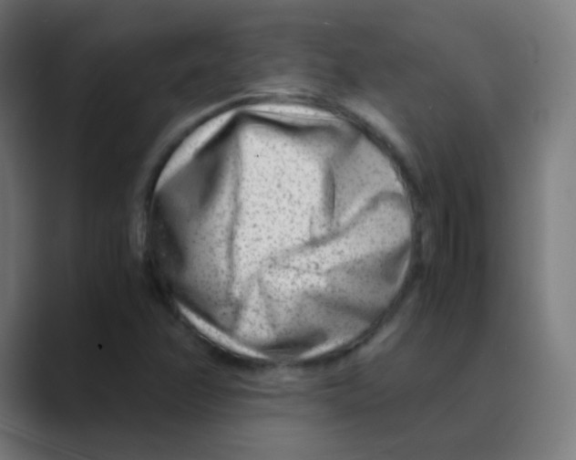 X0000088461358200706191321