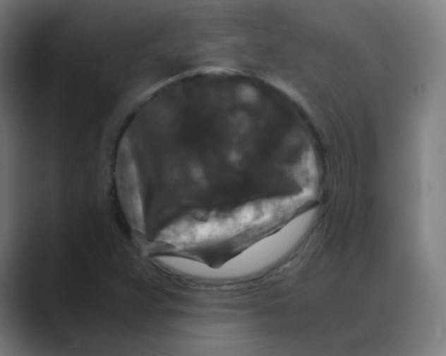 X0000088461359200706191321