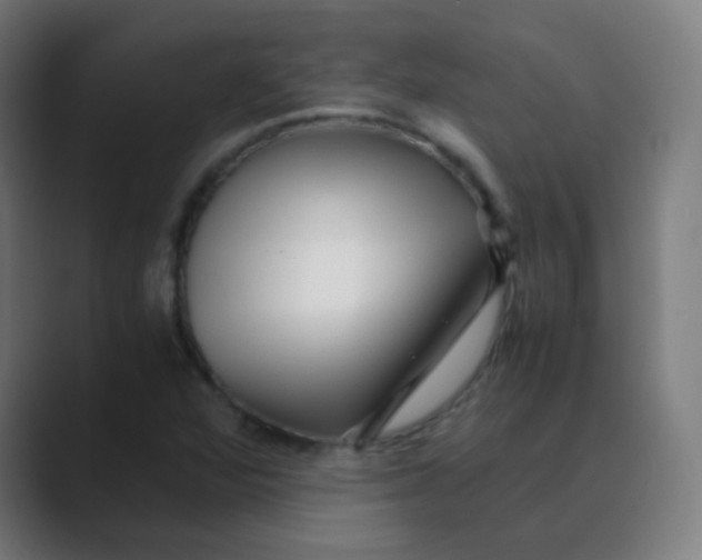 X0000088461360200706191321