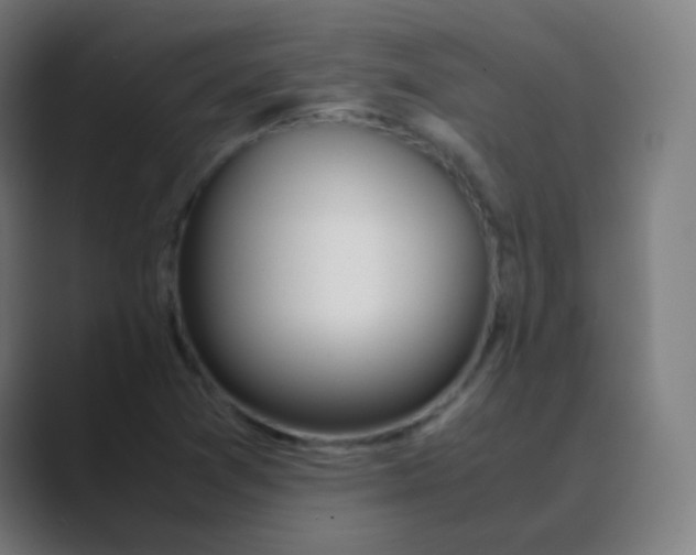 X0000088461361200706191321