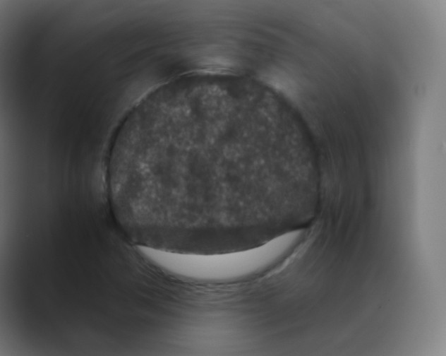 X0000088461362200706191321