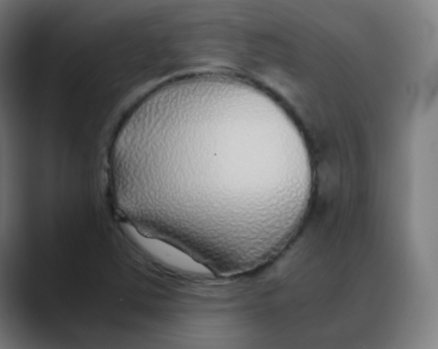 X0000088461363200706191321