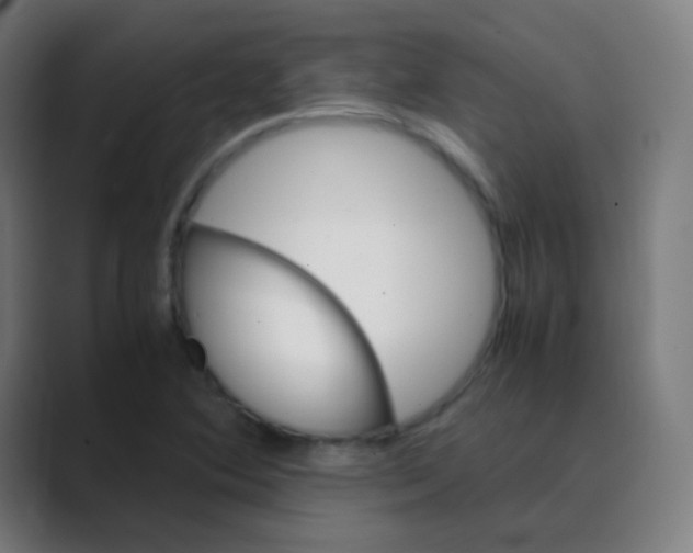 X0000088461364200706191321