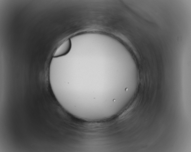 X0000088461366200706191321