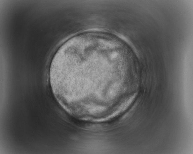 X0000088461367200706191321