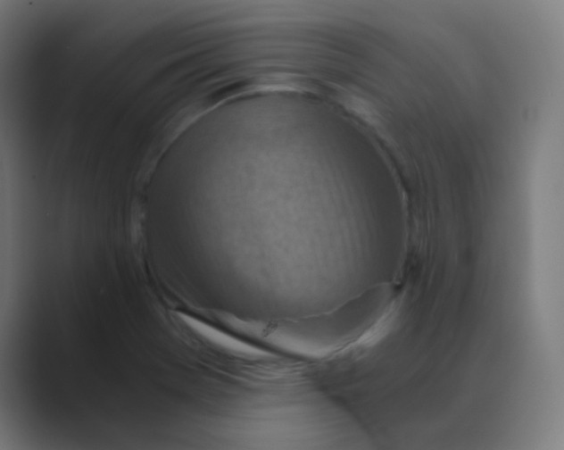 X0000088461369200706191321