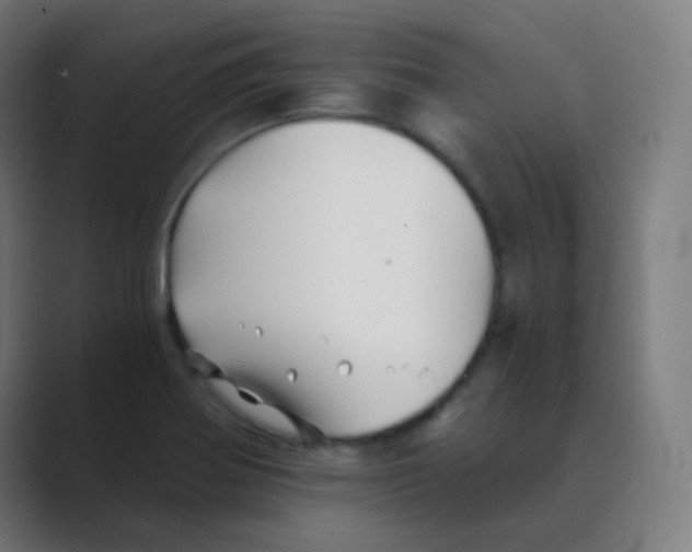 X0000088461370200706191321