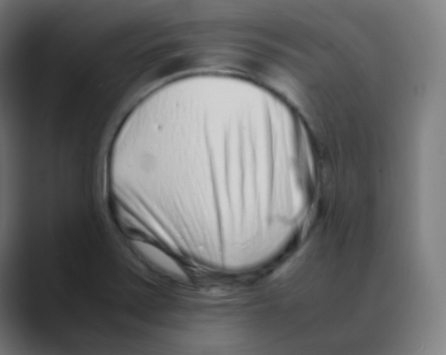 X0000088461371200706191321