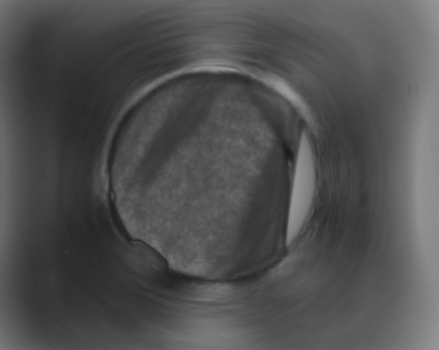 X0000088461372200706191321