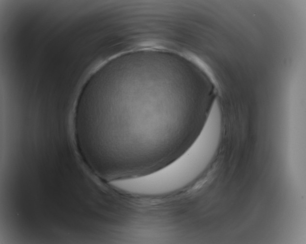 X0000088461373200706191321