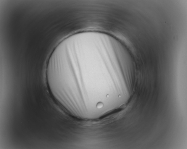 X0000088461374200706191321