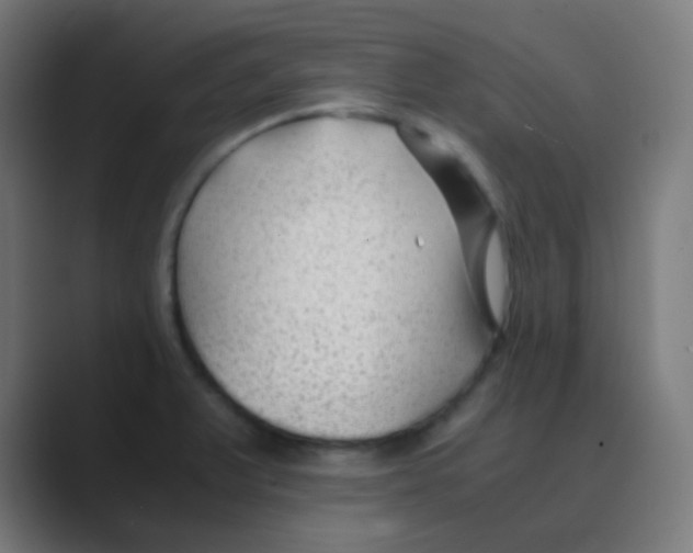 X0000088461375200706191321