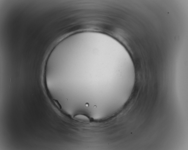 X0000088461379200706191321