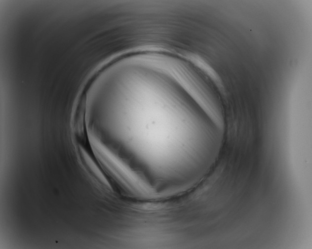 X0000088461380200706191321