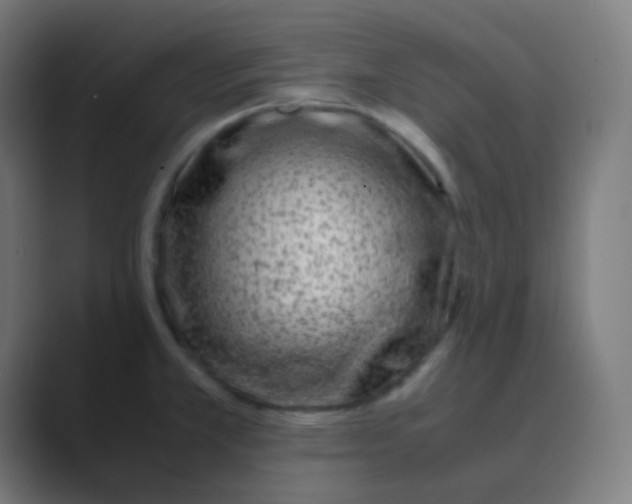 X0000088461381200706191321