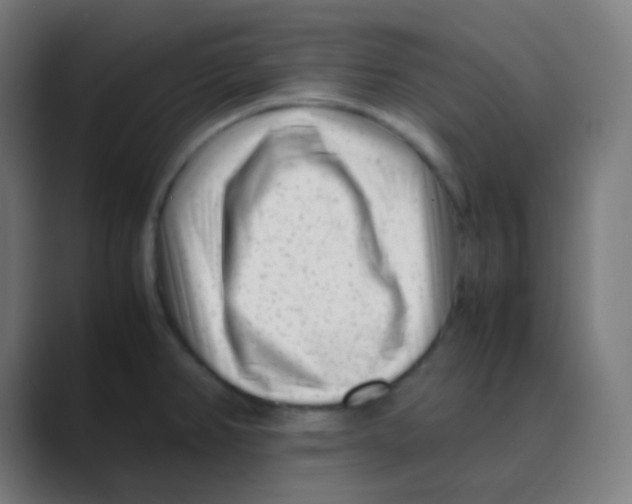 X0000088461382200706191321