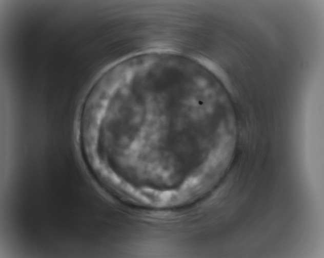 X0000088461383200706191321