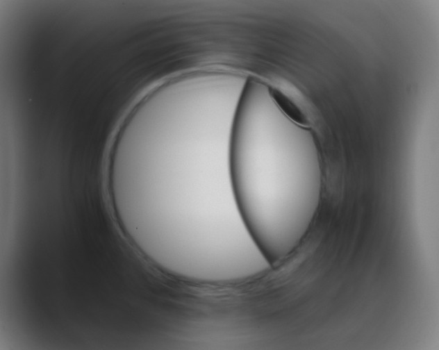 X0000088461384200706191321